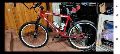 MTB Scout carbon 