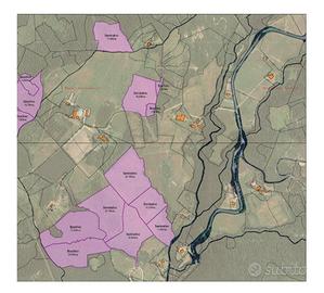 Terreni agricoli e boschivi