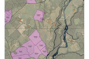 Terreni agricoli e boschivi