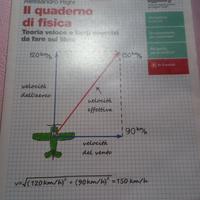 Libro il quaderno di fisica isbn  9788808920843