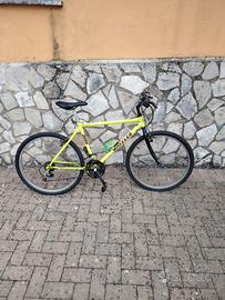 Mtb Bicicletta mountain bike