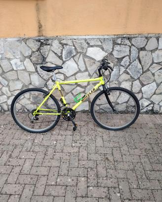Mtb Bicicletta mountain bike