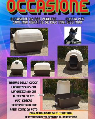 Cuccia per cane