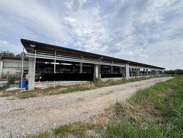 Immobile in asta di 7608 m² con 5 locali e box aut