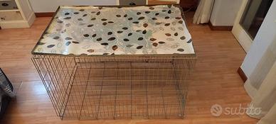 kennel per cani