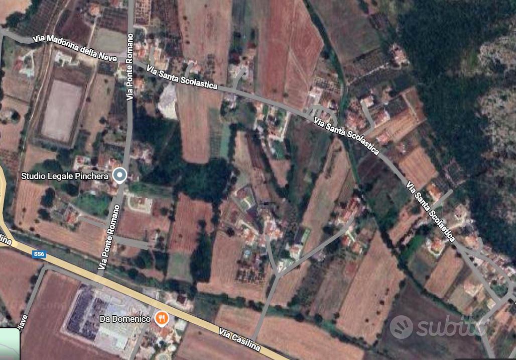 Terreno agricolo con uliveto - Vista 4
