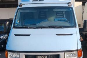 Iveco Daily 35C13 cella frigo