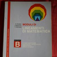 Libro moduli di lineamenti di matematica B
