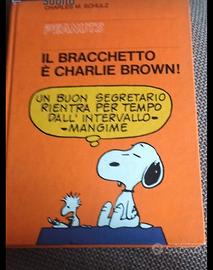 il bracchetto di Charlie Brown 