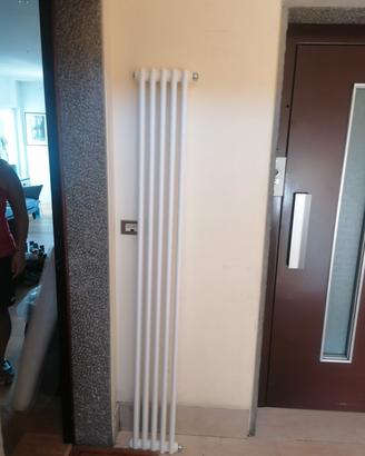 Termosifone Verticale