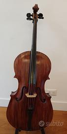 Violoncello 3/4