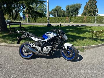 Suzuki Gladius