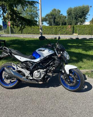 Suzuki Gladius