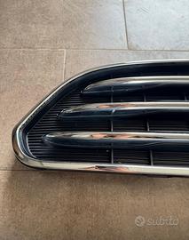 Mascherina countryman