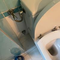 Graziella Carnielli originale