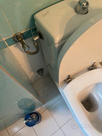 Graziella Carnielli originale