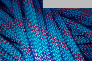 Drizza Plam Gold fish diametro 10.Blu/rossa