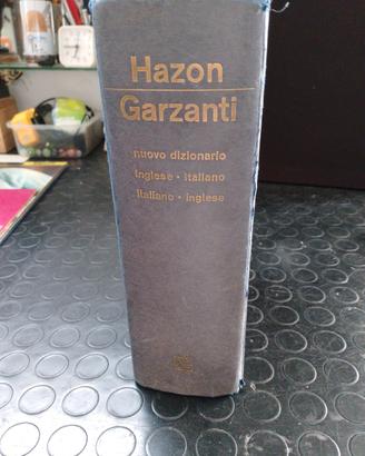 Dizionario 