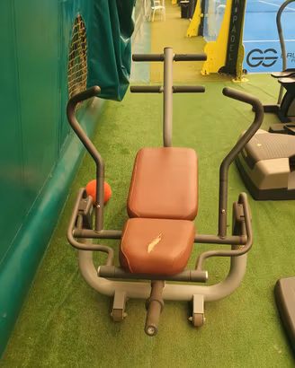 Panca addominali Technogym 