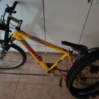 MTB Carraro