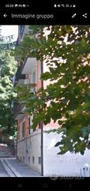 Quadrilocale abitabile via Fermi 4,centro, Potenza