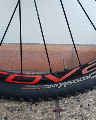 Cerchi MTB Roval Control 29"
