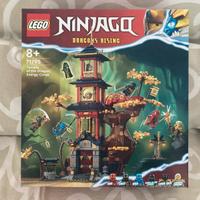 Lego 71795 Ninjago Nuclei di energia al tempio del