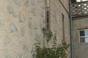 Immobile indipendente in centro