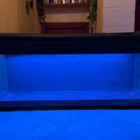 Acquario vasca con plafoniera led