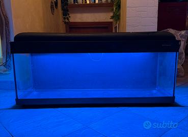 Acquario vasca con plafoniera led