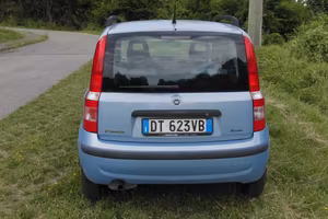 Panda anno 2009