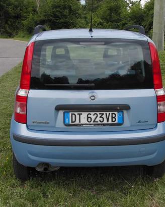 Panda anno 2009