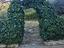 Immagine 13