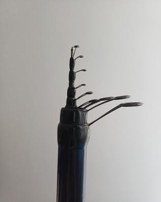 DAIWA WS60 BOLOGNESE STRONG  6M 