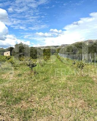 Terreno Agricolo Avola [Cod. rif 3309715VCG]