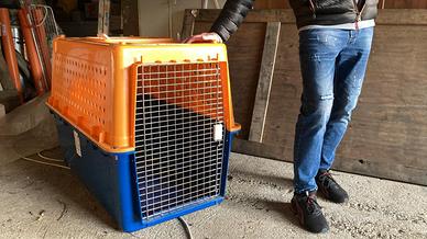 Trasportino per Cani