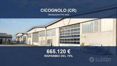 Immobile in asta di 7628 m² a Cicognolo