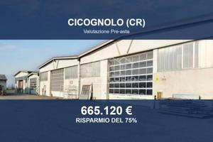 Immobile in asta di 7628 m² a Cicognolo