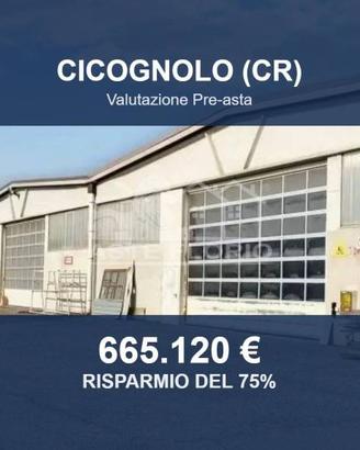 Immobile in asta di 7628 m² a Cicognolo