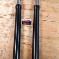 Forcelle Originali CF moto MT800 EXP