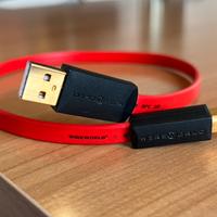 WireWorld Starlight 7 USB (50 cm)
