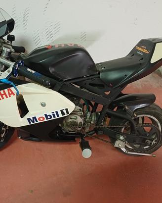 minimoto