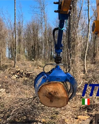 Pinza Legna Tronchi Pietre IPL1100PRO