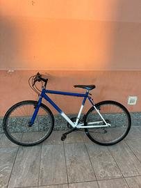 PREZZO CONTRATTABILE mountain bike
