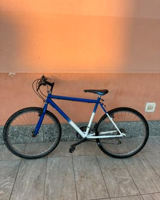 PREZZO CONTRATTABILE mountain bike