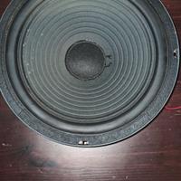 Speaker ciare