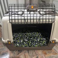Trasportino Cane Taglia Media con Cuscino