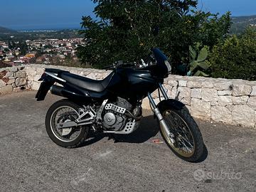 Dominator 650