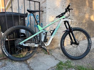 Canyon strive CF