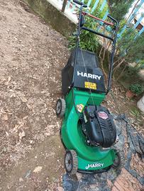 rasaerba HARRY 